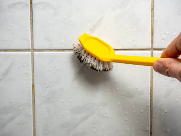 Trusted Latimer, MS Mold Removal Experts