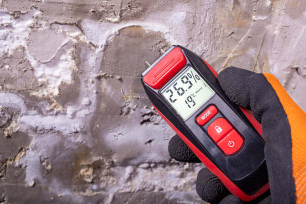 Best Toxic Mold Removal  in Latimer, MS