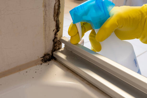 Crawl Space Mold Removal in Latimer, MS