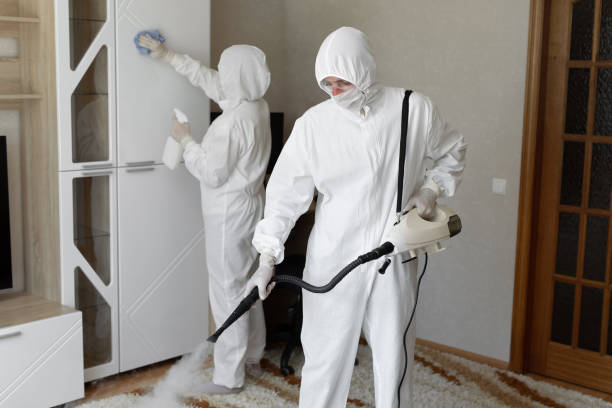 Best Residential Mold Removal  in Latimer, MS