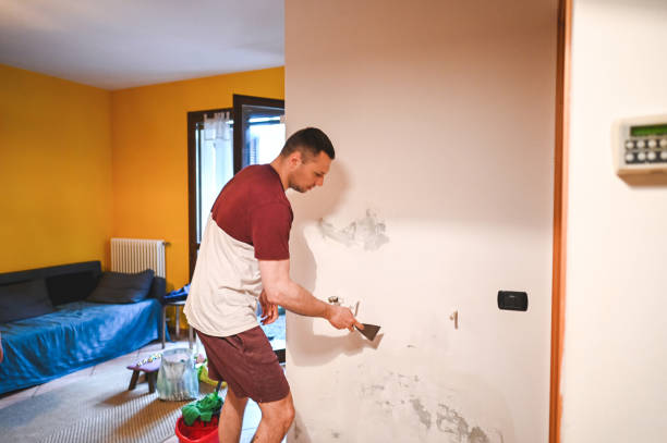 Best Crawl Space Mold Removal  in Latimer, MS