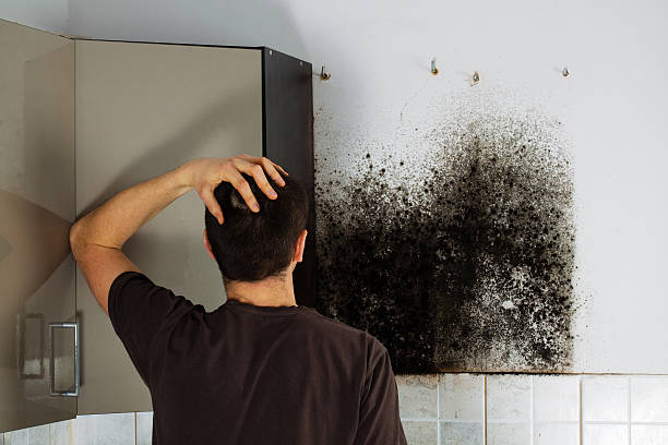 Best Mold Testing  in Latimer, MS